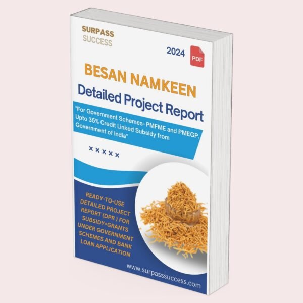 Besan Namkeen Detailed Project Report (DPR)